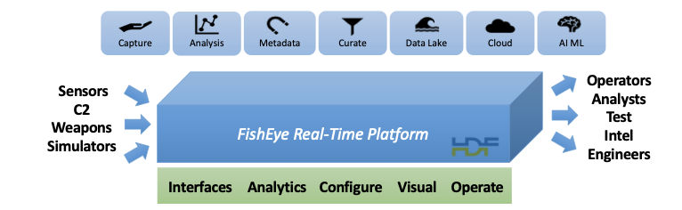 Figure 1 - FishEye Real-Time Platform
