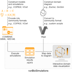 Figure 1. Overview of BioSimulations' architecture for storing, retrieving, and visualizing the results of simulations of COMBINE archives.