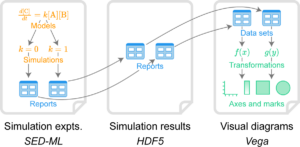 Figure 2. Overview of how BioSimulations uses HDF5 and HSDS to link the results of simulation experiments to data visualizations.