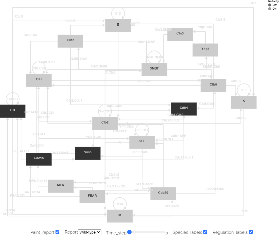 Figure 3. Vega visualization of the predicted dynamics of the cell cycle regulatory circuit of Saccharomyces cerevisiae rendered with simulation results retrieved from an HSDS. An interactive version of the figure is available at https://biosimulations.org/projects/Yeast-cell-cycle-Irons-J-Theor-Biol-2009.