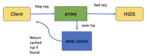 Diagram 4: Web Proxy for HSDS
