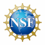 US NSF official logo